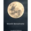 Moonlit Monochrome