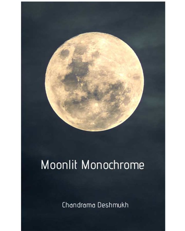 Moonlit Monochrome