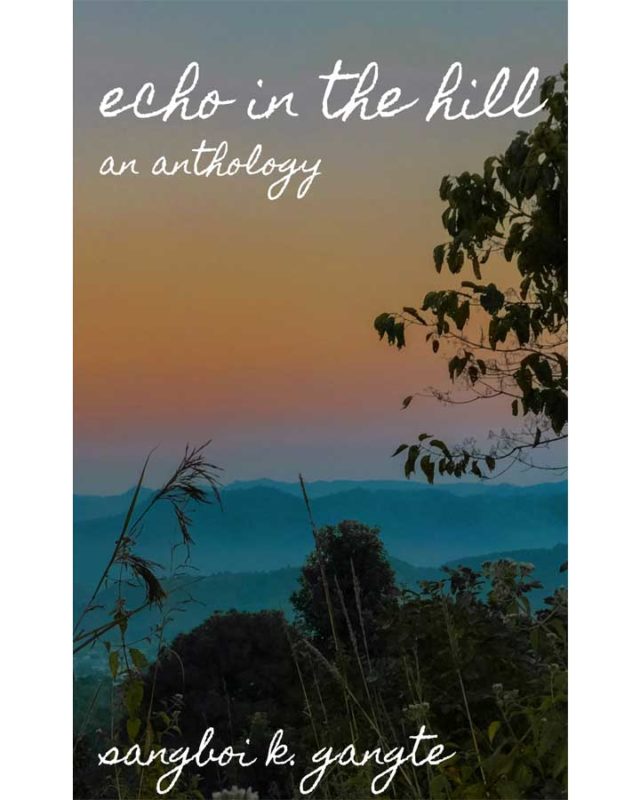 Echo in the hill book front cover