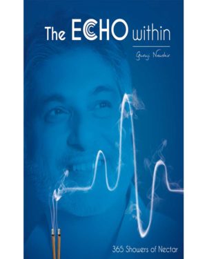 The echo within book front cover