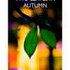 Two leaves in autumn book front cover
