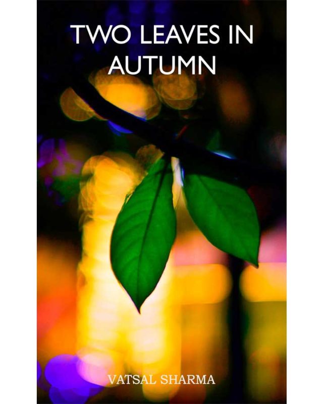 Two leaves in autumn book front cover