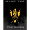 Secret of the himalayan treasure book front cover
