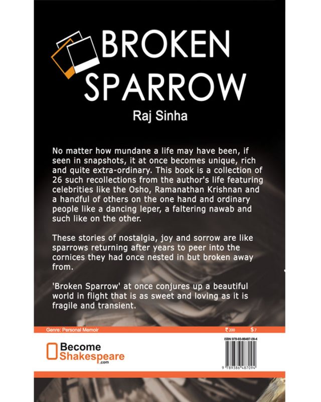 Broken Sparrow